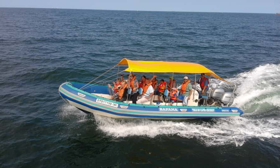 Durban: Durban: Whale and Dolphin Watching Boat Tour - Humpback whales from May through November