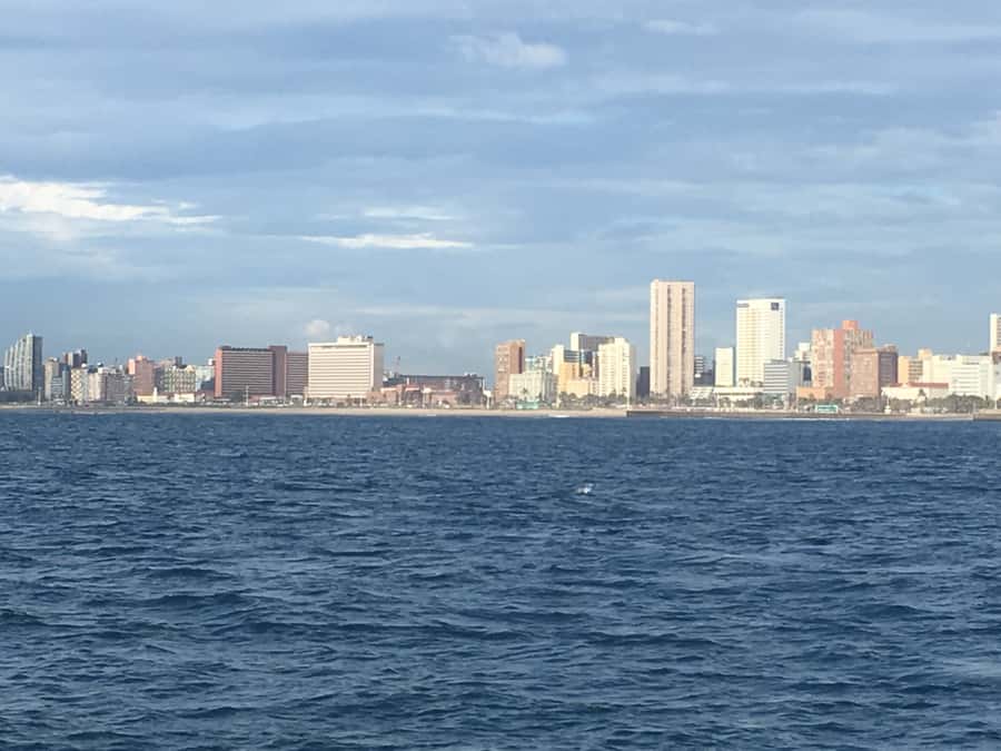 Durban: Durban: Whale and Dolphin Watching Boat Tour - A practical plan for the day