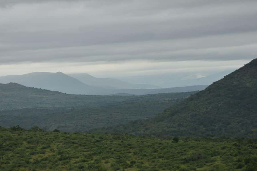 Durban: Full Day Hluhluwe-iMfolozi Game Reserve with lunch - Who will enjoy this safari most?