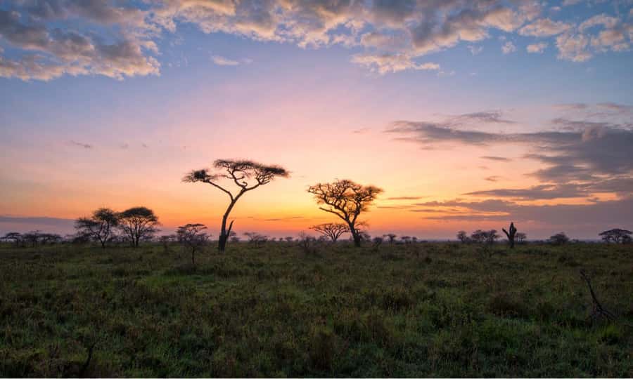 Durban: Hluhluwe Big 5 Safari with Pro Zeiss Binoculars - Is $202 a fair price?