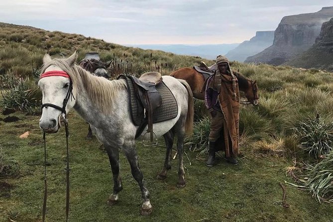 Durban: Journey along the Epic Sani Pass & Lesotho Tour - Key points to know before booking