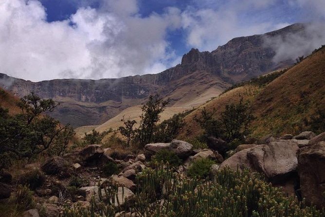 Durban: Journey along the Epic Sani Pass & Lesotho Tour - Is the $206.90 price good value?