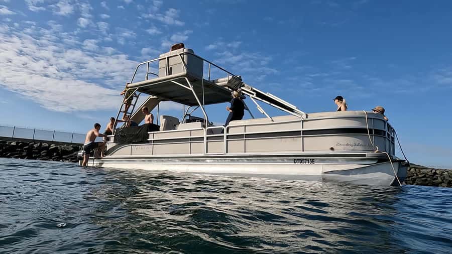 Durban: Pontoon Boat Harbor Cruise - Is the one-hour ride good value?