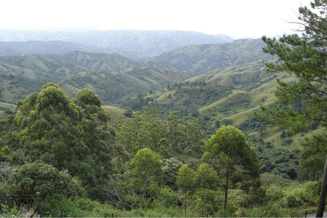 Durban Shore Excursion: Valley of 1000 Hills and PheZulu Tour - What makes Phezulu Cultural Village worthwhile