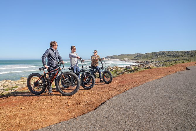 E-Bike Cape Peninsula tour - Cape of Good Hope and Cape Point in one outing