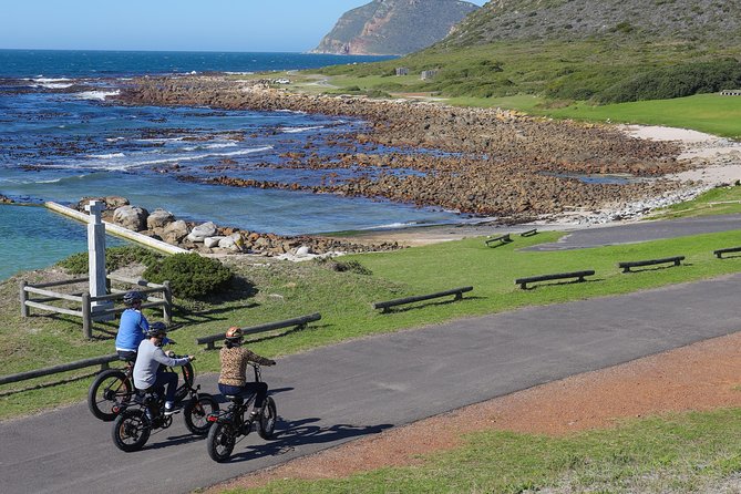 E-Bike Cape Peninsula tour - What the $156.32 price includes