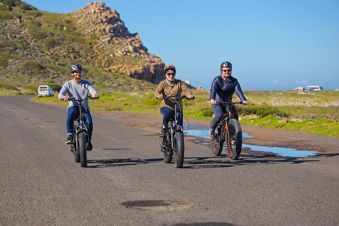 E-Bike Cape Peninsula tour - Two and a half hours around Cape Point