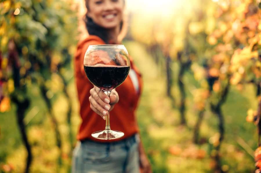 E-Bike Stellenbosch Winelands - Full Day Private Tour - Key details before you book