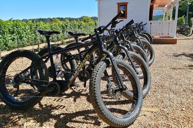 E-Bike Wine Tour Stellenbosch (Half Day) - Quick reasons to choose this Stellenbosch ride