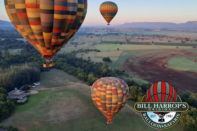 Early Morning Balloon Safari with Breakfast from Magaliesburg - Post-flight drinks and the sparkling wine buffet breakfast