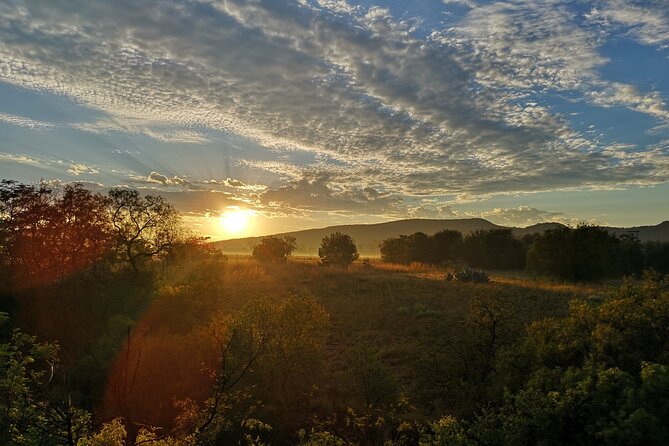 Early Morning Balloon Safari with Breakfast from Magaliesburg - Weather and cancellation rules worth noting