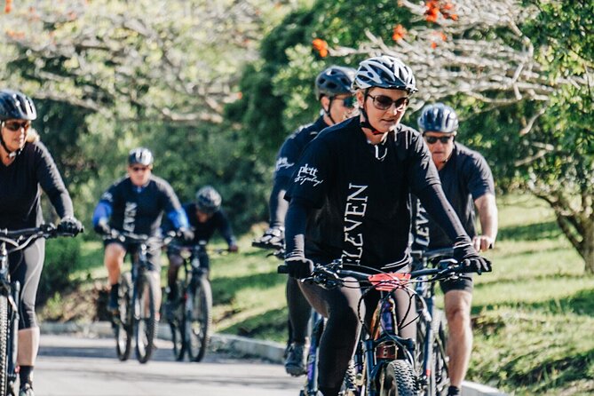 eBike Tours - Why an eBike is a smart way to see Plettenberg Bay