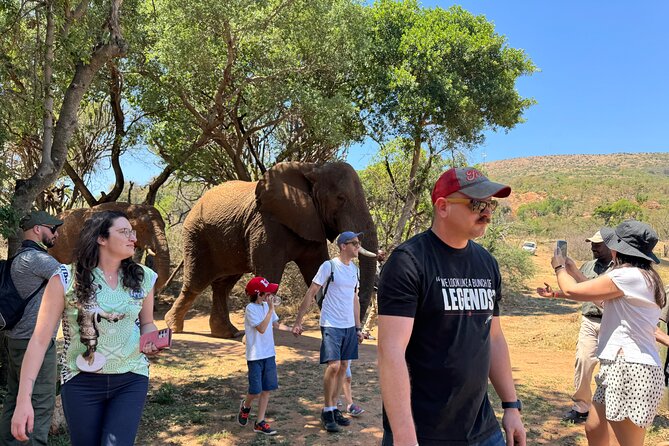 Elephant & Monkey Sanctuary Tour from Johannesburg - Key points to know before booking