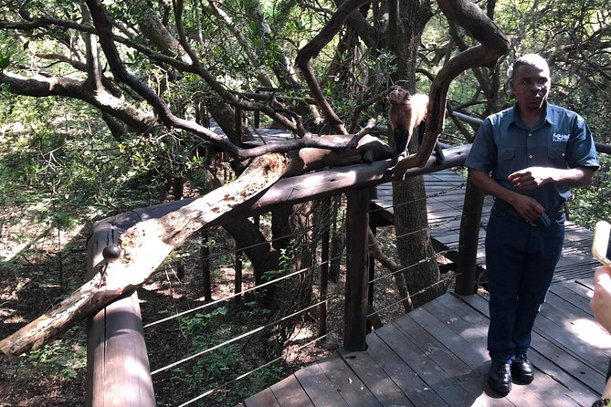Elephant & Monkey Sanctuary Tour from Johannesburg - The driver-guide can shape the day