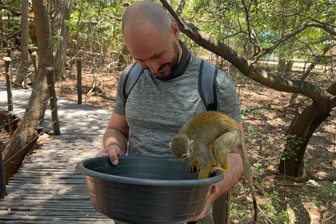 Elephant & Monkey Sanctuary Tour from Johannesburg - The drive through Magaliesburg and Hartebeespoort