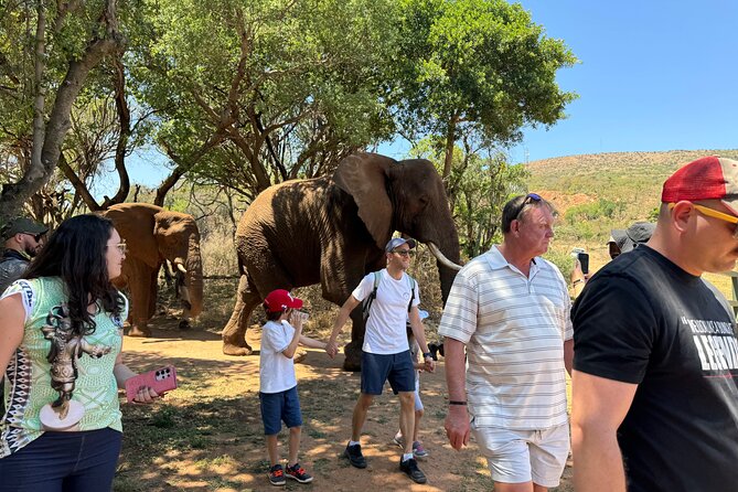 Elephant Sanctuary Tour from Johannesburg - Arriving at the Elephant Sanctuary near Hartbeespoort Dam
