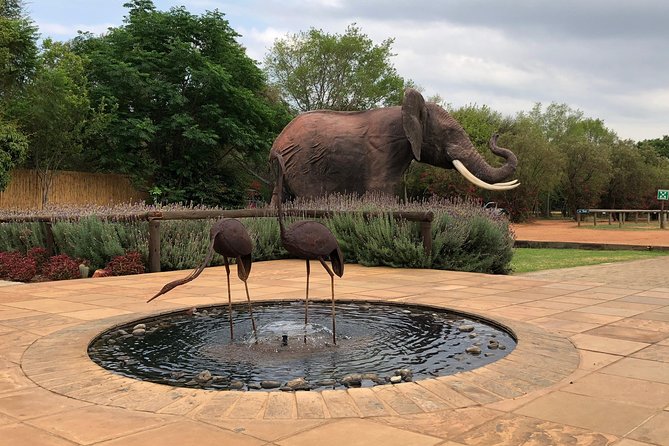 Elephant Sanctuary Tour from Johannesburg - Why the guide can shape the whole day