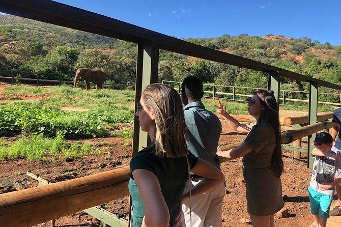 Elephant Sanctuary Tour from Johannesburg - Practical tips for getting more from the visit