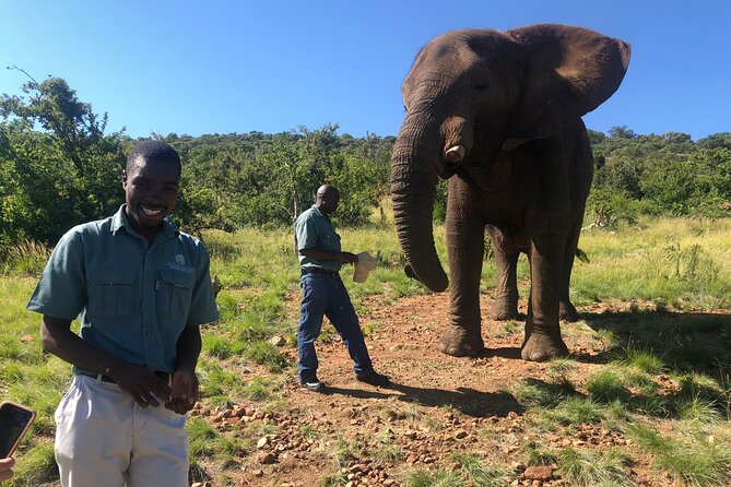 Elephant Sanctuary Tour from Johannesburg - Leaving Johannesburg for Hartbeespoortdam