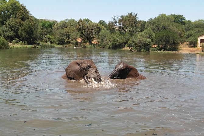 Elephant Walk Guided Half Day Tour from Johannesburg - The drive from Johannesburg and the Cradle of Humankind