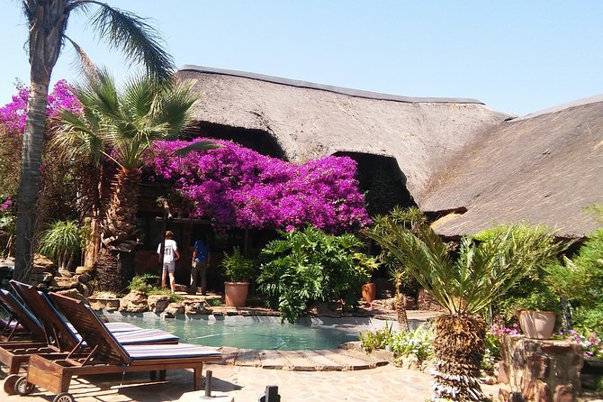 Elephant Walk Guided Half Day Tour from Johannesburg - Booking, timing, and cancellation details