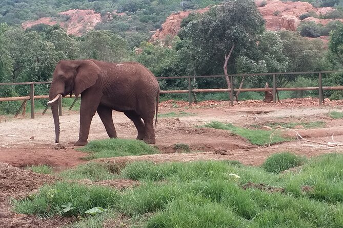 Enlightening Elephants And Monkeys Sanctuary Guided Day Tour - The guides and the value of good communication