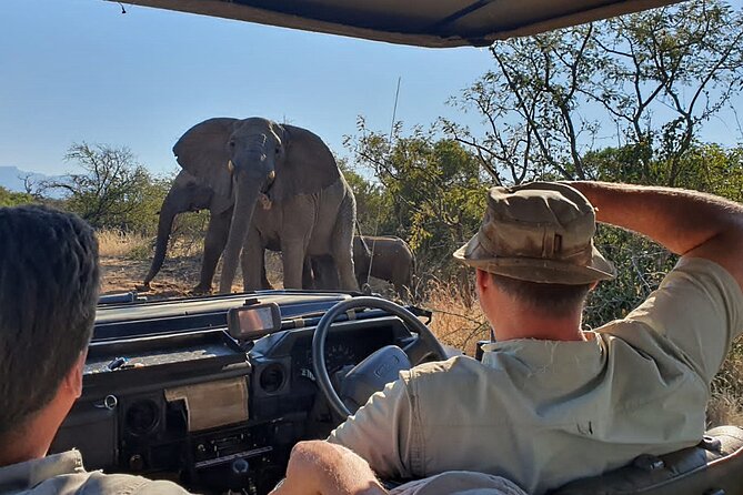 Exclusive Morning Game Drive Safari near Hoedspruit - What kind of safari is this?