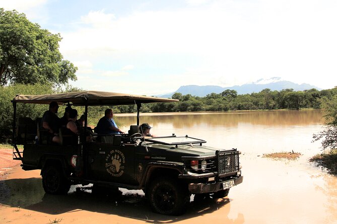 Exclusive Morning Game Drive Safari near Hoedspruit - The search for elephants, lions, rhino, and leopard