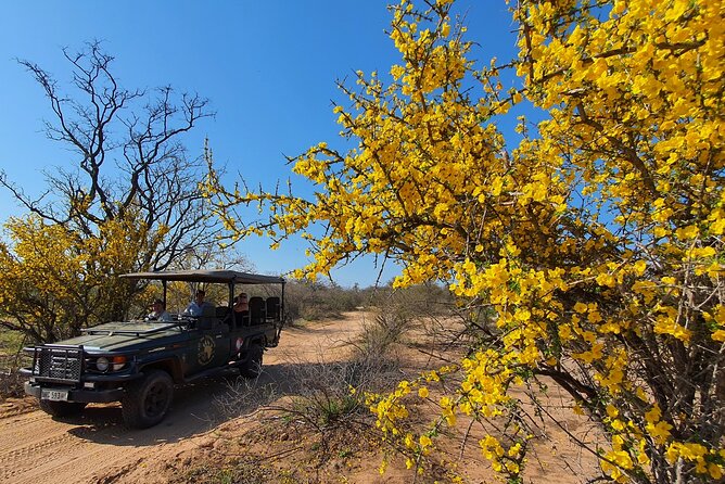 Exclusive Morning Game Drive Safari near Hoedspruit - What the $112.20 price covers