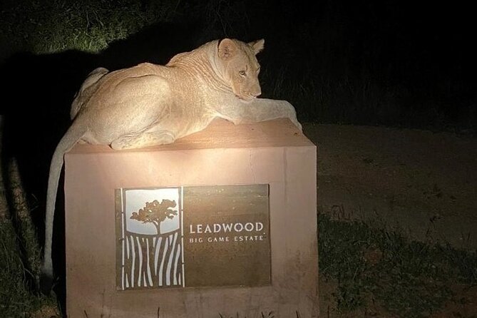 Exclusive Night Drive Safari near Hoedspruit - Timing, transport, and weather details