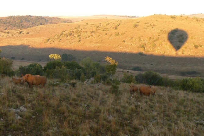 Exclusive Safari Flight - Weather, age, and physical requirements