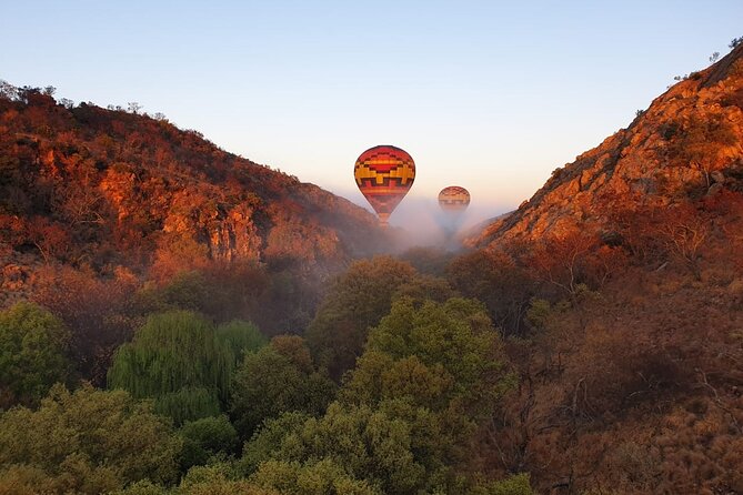 Exclusive Safari Flight - A practical way to plan the morning