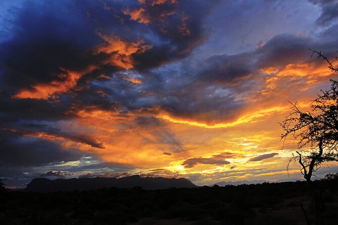Exclusive Sunset Game Drive Safari near Hoedspruit - Key Points to Know Before You Go
