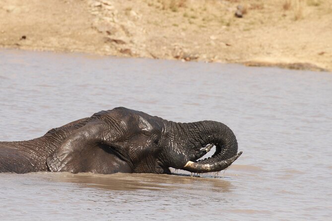 Exclusive Sunset Game Drive Safari near Hoedspruit - The Open Safari Vehicle and Sense of Space