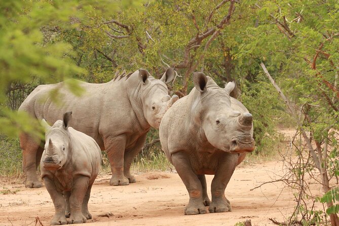 Exclusive Sunset Game Drive Safari near Hoedspruit - Sundowners With Views Toward the Drakensberg