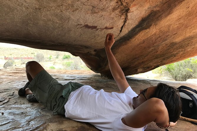 Explore ancient rock art on a private guided trip from Cape Town - Key things to know before you book