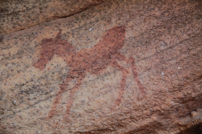 Explore ancient rock art on a private guided trip from Cape Town - Walking to the paintings and cave shelters