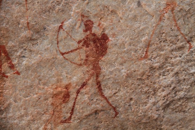 Explore ancient rock art on a private guided trip from Cape Town - The road from Cape Town to the Swartland views