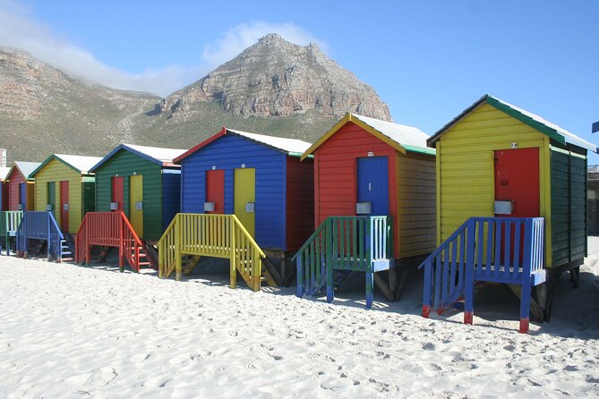 Explore Cape of Good Hope and Boulders Beach Private Tour - Boulders Beach brings you close to African penguins
