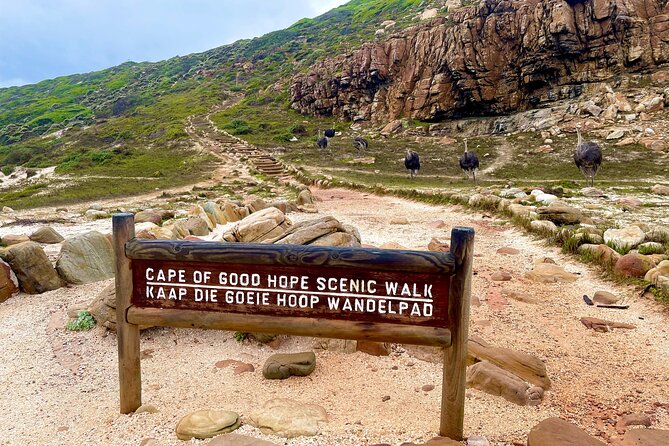Explore Cape of Good Hope and Boulders Beach Private Tour - Simon’s Town supplies lunch and a change of pace