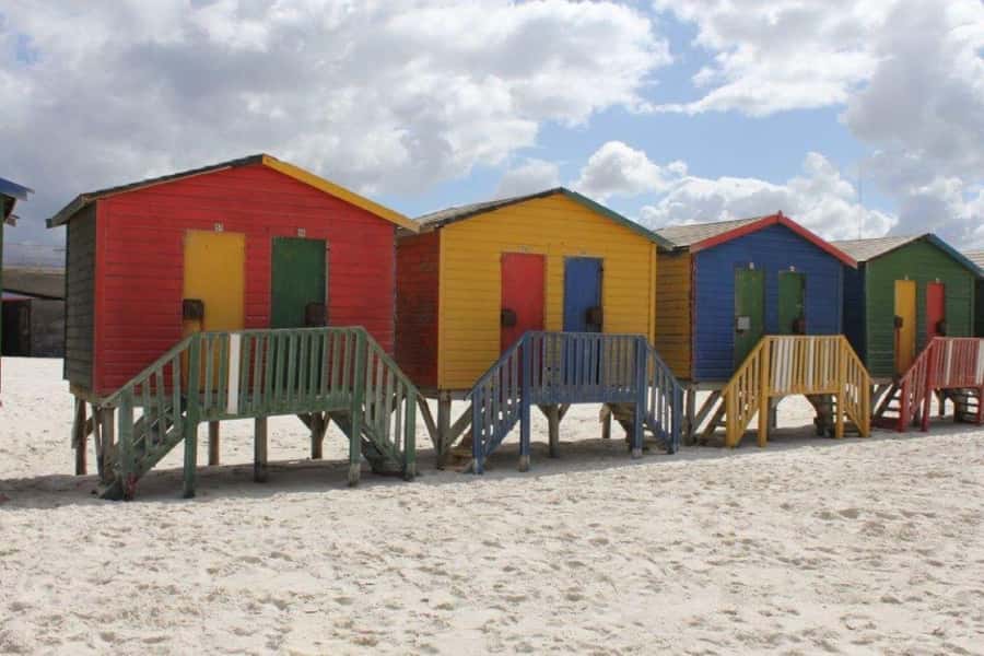 Fascinating Cape Peninsula Experience (private & exclusiv) - What the guide adds to the day