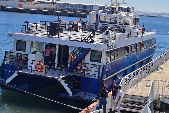 Ferry Tour to Robben Island Museum with One Way Hotel Transfer - Walking, timing, and the physical pace