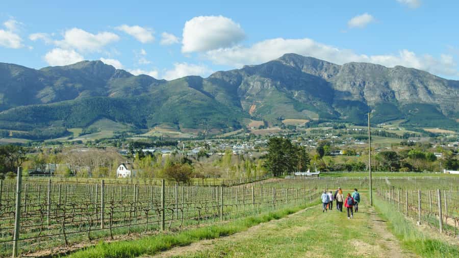 Franschhoek: An enchanting storytelling walk to 3 wine farms - Key points to know before booking