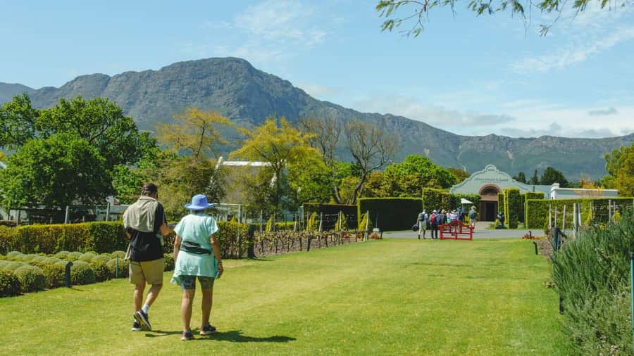 Franschhoek: An enchanting storytelling walk to 3 wine farms - Mont Rochelle and the first taste of Franschhoek