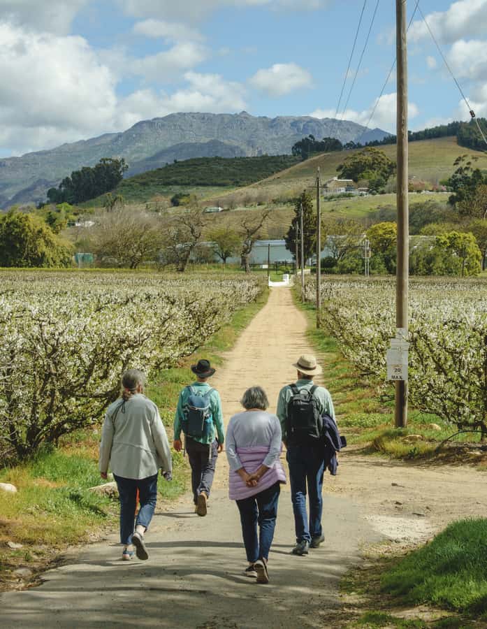 Franschhoek: An enchanting storytelling walk to 3 wine farms - Walking on through vineyards and country lanes