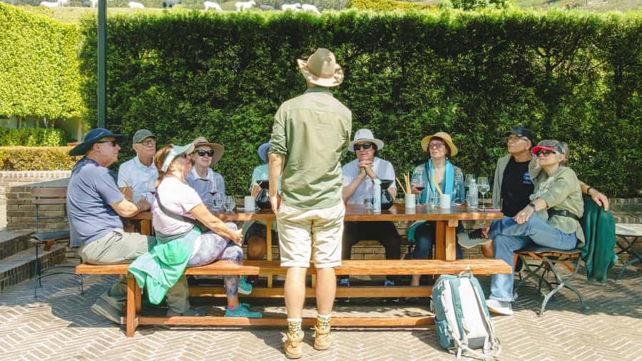 Franschhoek: An enchanting storytelling walk to 3 wine farms - The tuk-tuk transfer and arrival at La Cotte