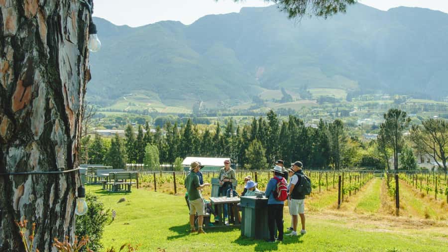 Franschhoek: An enchanting storytelling walk to 3 wine farms - Beginning at the Dutch Reformed Church