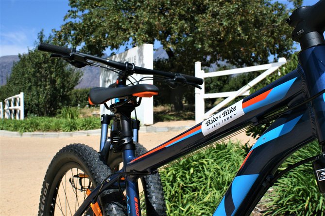 Franschhoek Cycle Experience Half Day - Private Tour - La Bri Estate and the best pairing for your group
