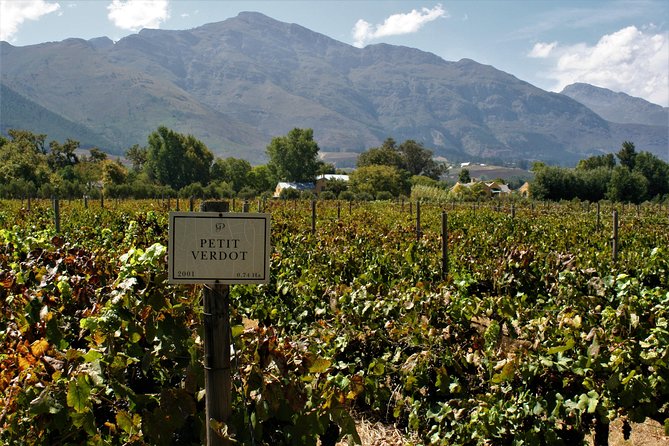 Franschhoek Cycle Experience Half Day - Private Tour - Passing Leeu Estates and requesting Holden Manz