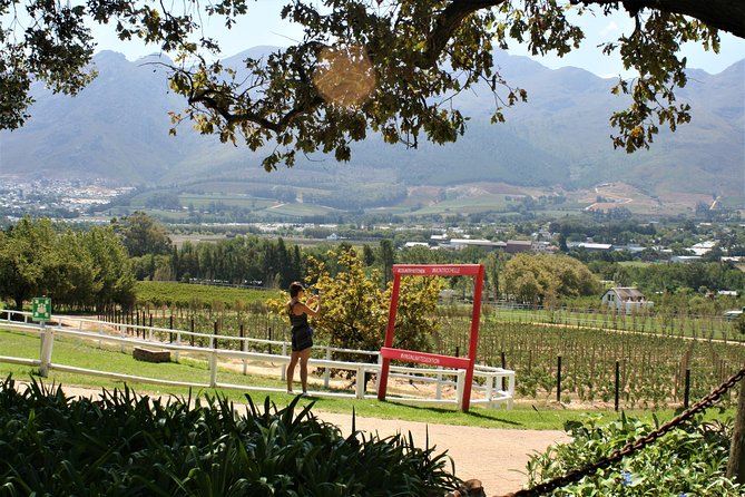 Franschhoek Cycle Experience Half Day - Private Tour - Price, value, and what you actually receive